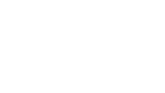 Title card Palacio