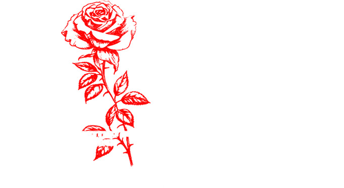 Title card Que Sensacion